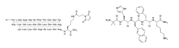 37aa CJC-1295 (No DAC) x Ipamorelin (Blend)